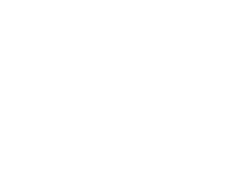 NEWS - 新着情報